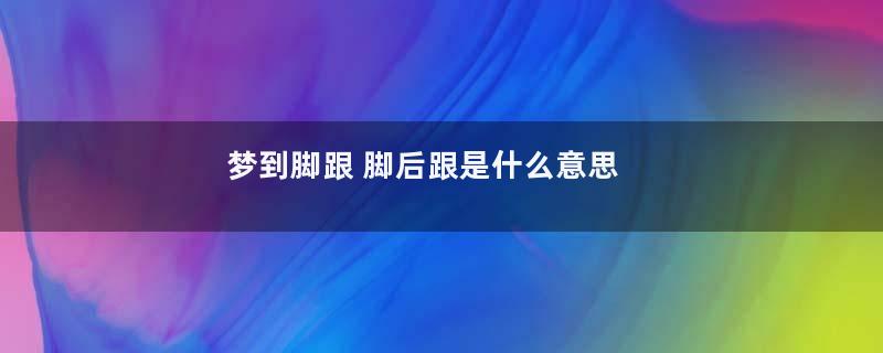 梦到脚跟 脚后跟是什么意思